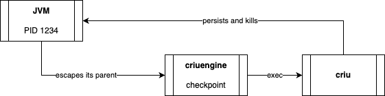 crac anatomy checkpoint