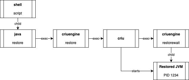 crac anatomy restore