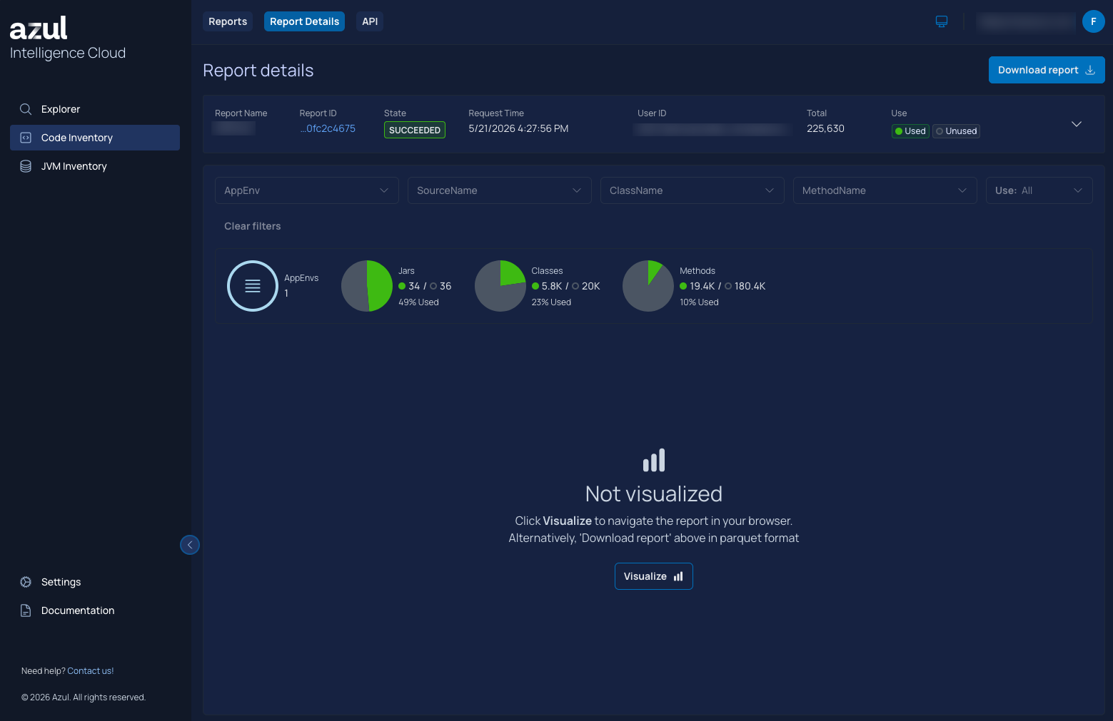 Initial view of a report