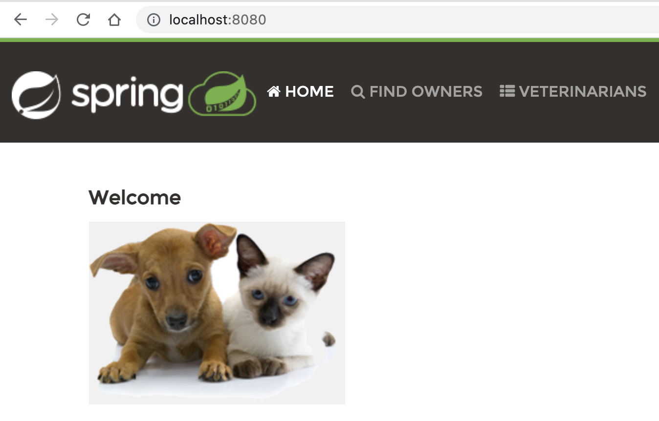 Browser showing the Pet Clinic welcome screen