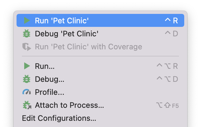 IntelliJ IDEA menu to run the Pet Clinic application
